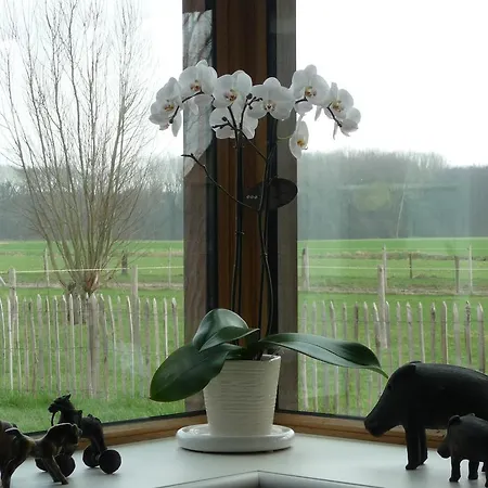 De Vossenbarm Bed & Breakfast Jabbeke (West-Flanders)