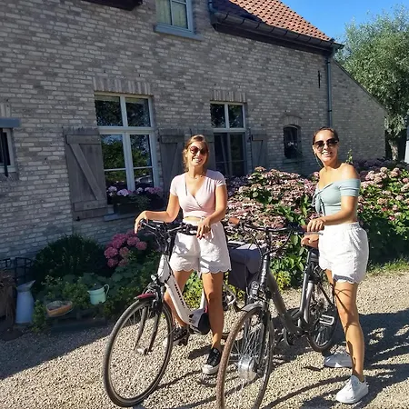 De Vossenbarm Jabbeke (West-Flanders)