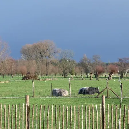 Bed & Breakfast De Vossenbarm 4*