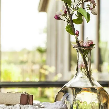 Bed & Breakfast De Vossenbarm 4*
